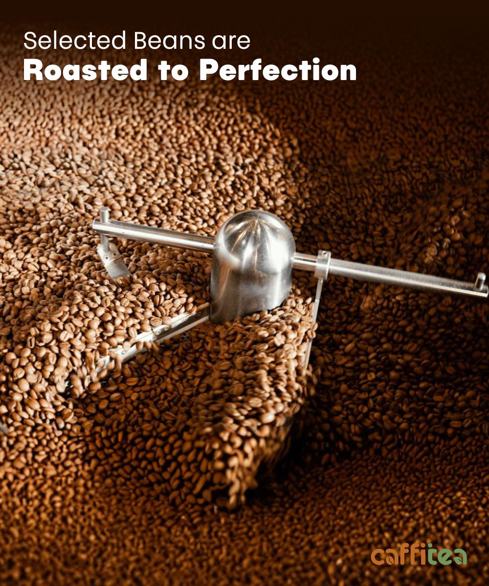 Swiss Chocolate Mocha Coffee – Smooth & Rich Flavor | Caffitea