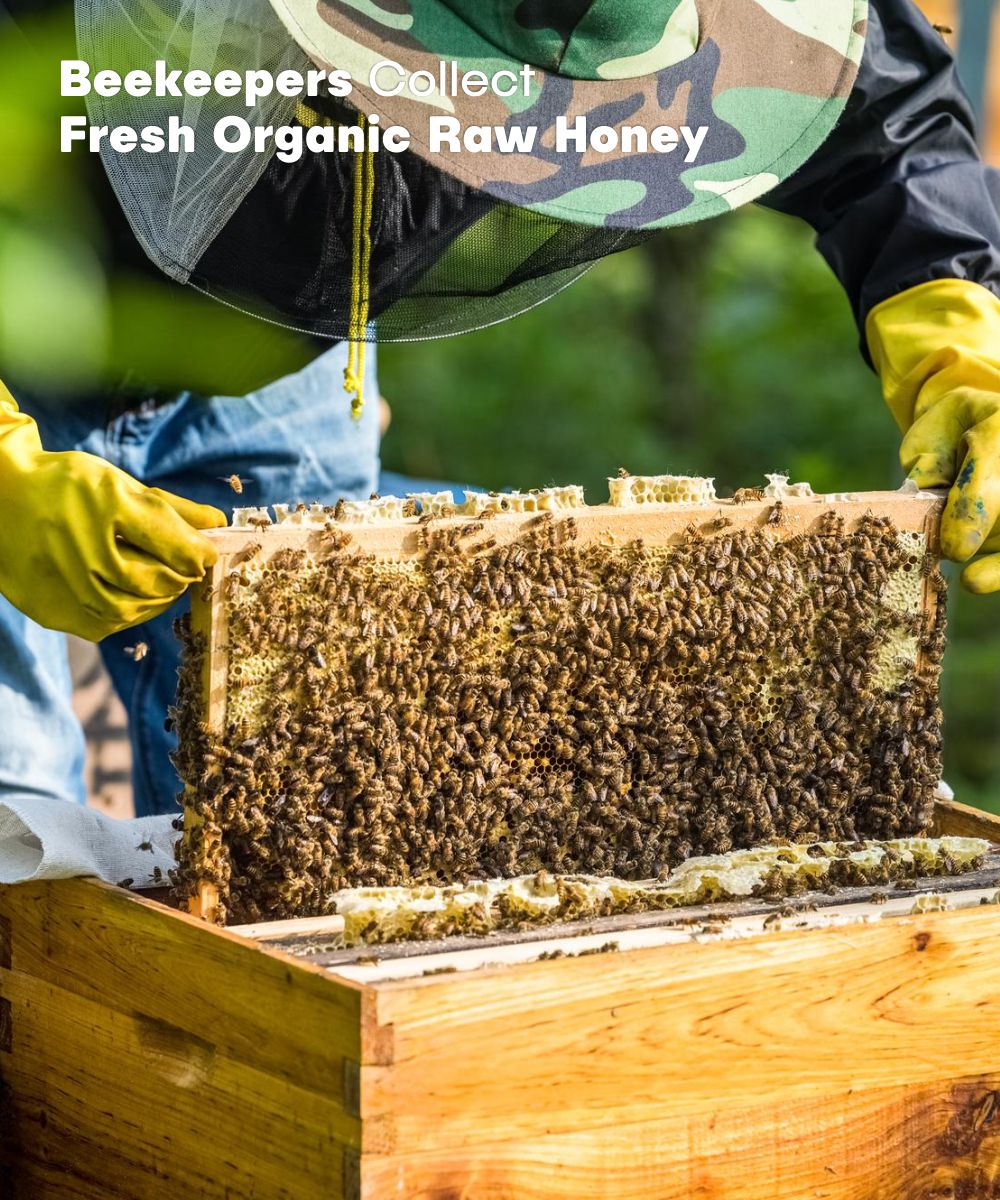 Honey Pro – Himalayan Multifloral Honey