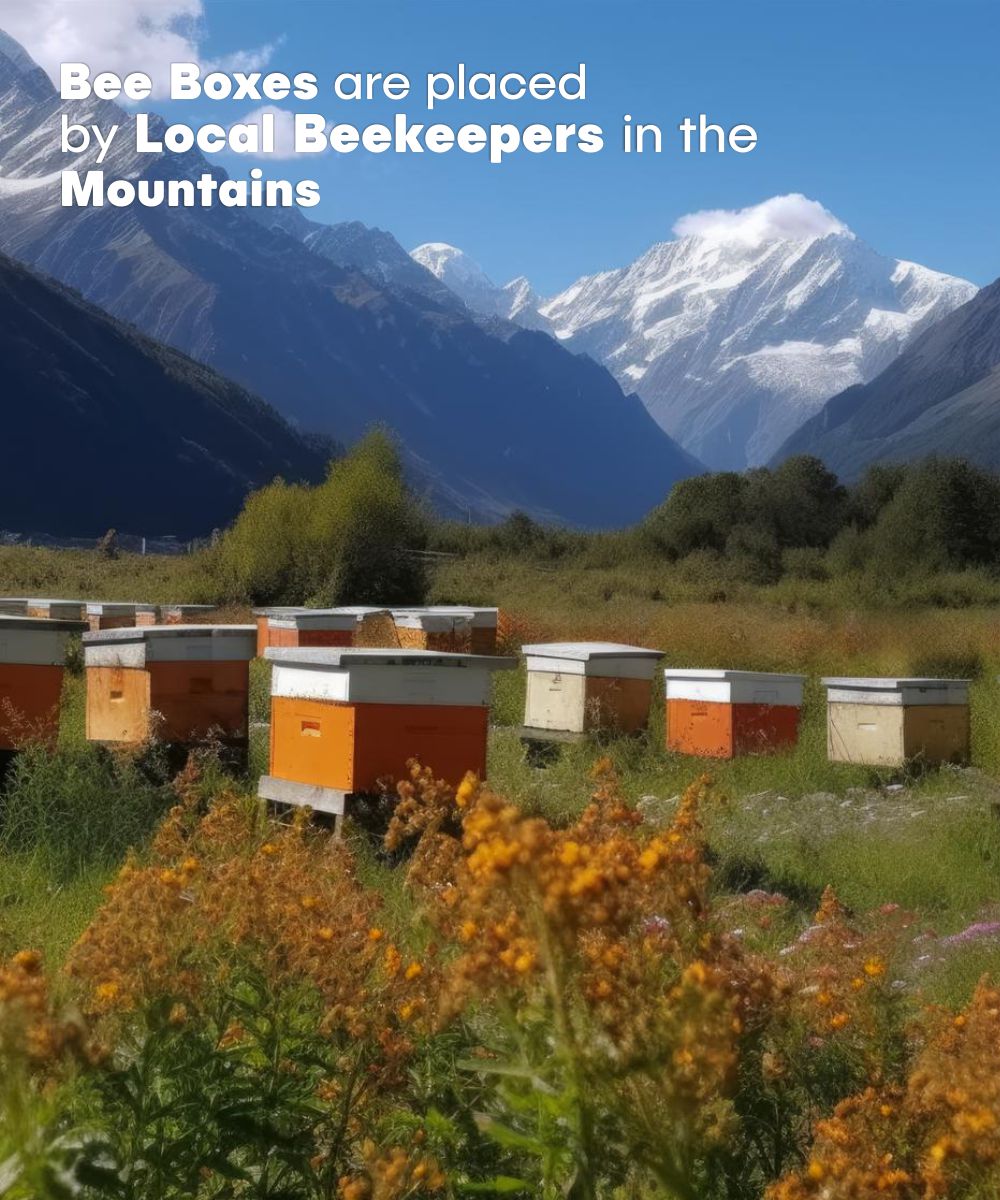 Honey Pro – Himalayan Multifloral Honey